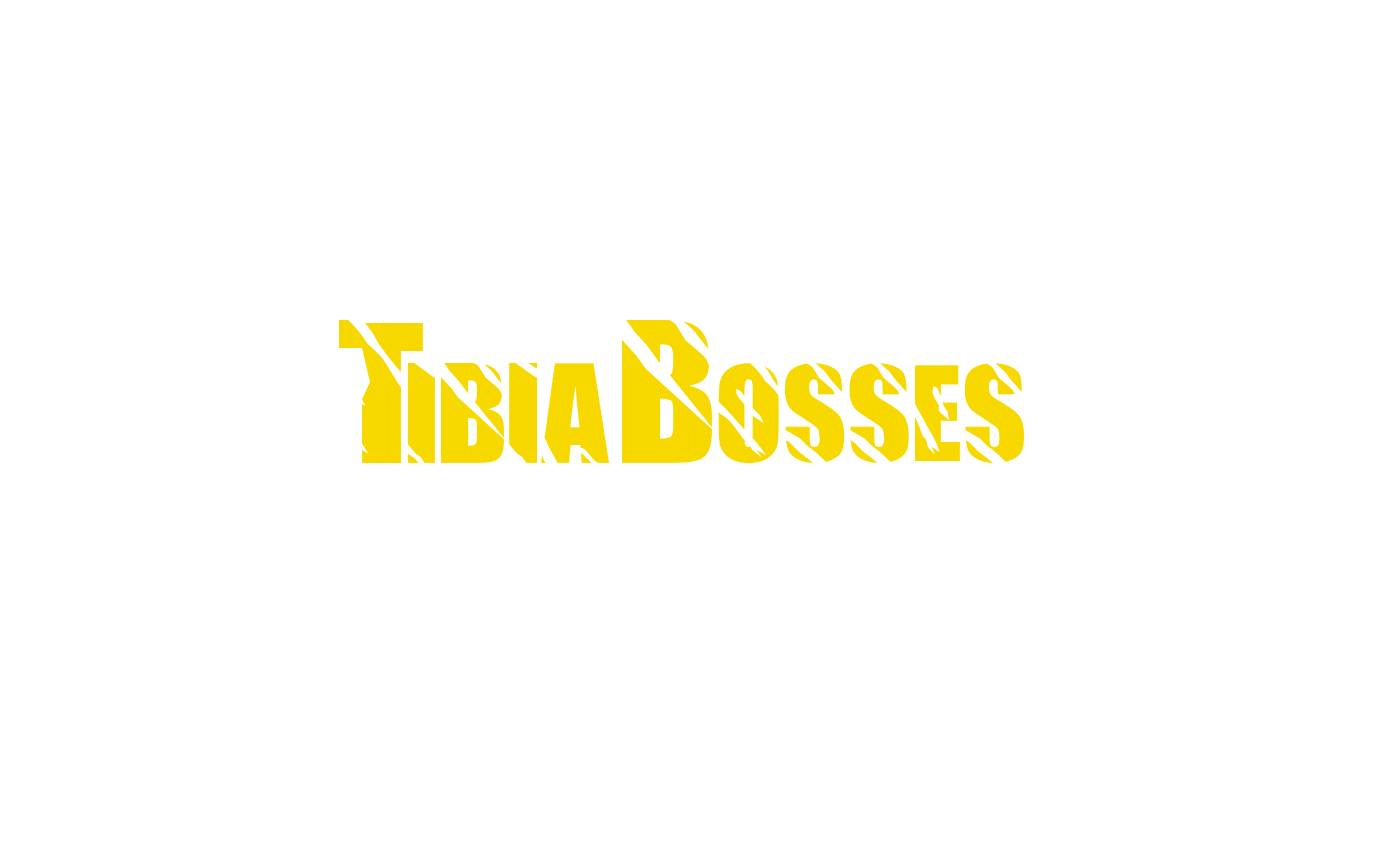 tibiabosses logo contest process animation